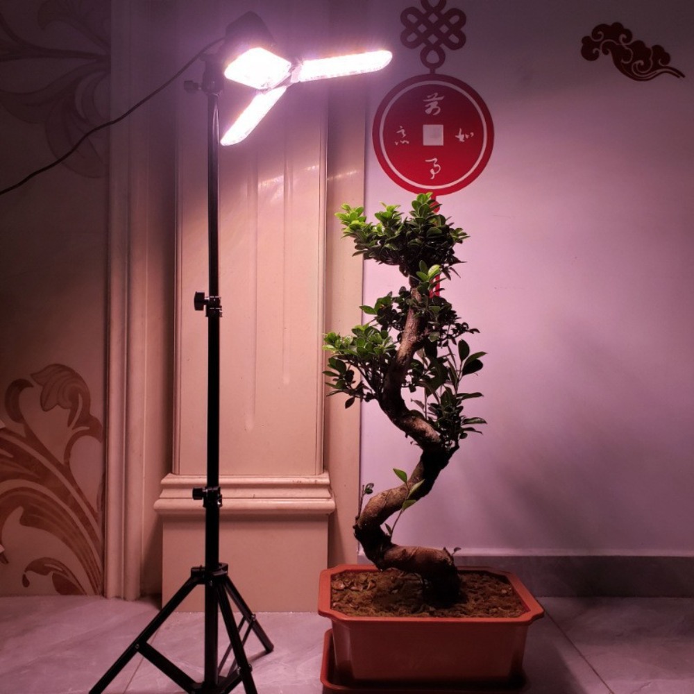 Light Bulb Stand 2M, E27 AC So - Photography Lighting Umbrella review and price